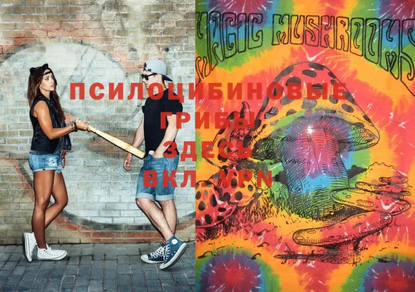 ПСИЛОЦИБИНОВЫЕ ГРИБЫ Куйбышев