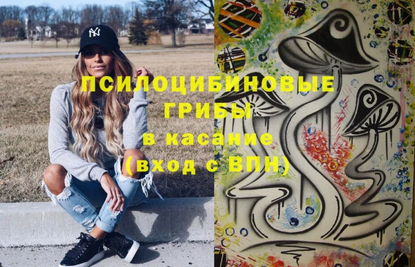 твердый Кукмор