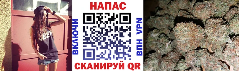 Бошки марихуана MAZAR  где купить наркоту  Шарья 